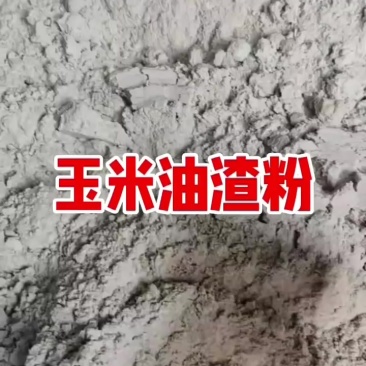 玉米油渣粉