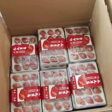 丹东红颜烘焙系列