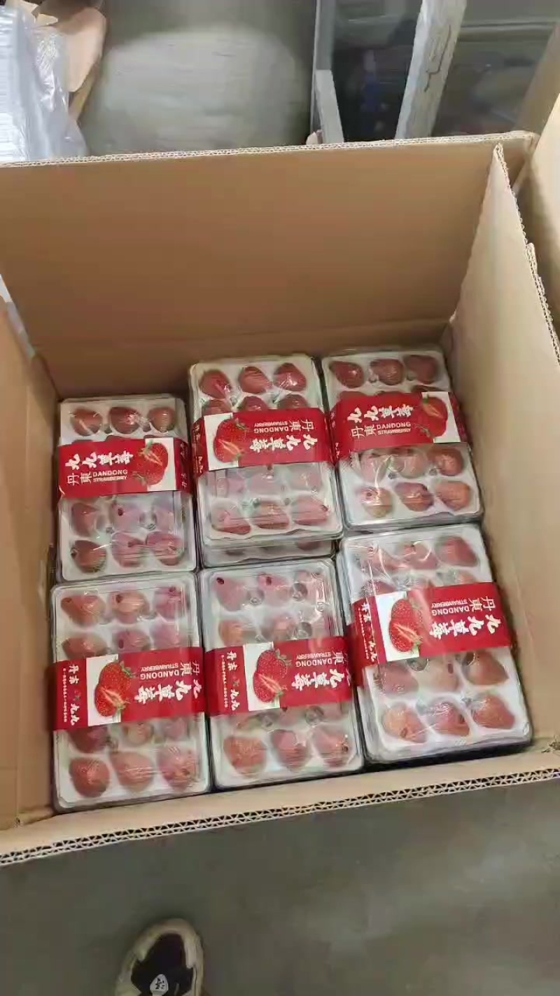 丹东红颜烘焙系列