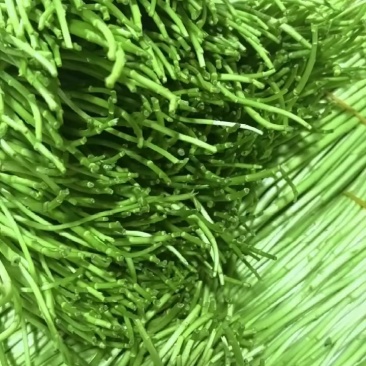 高品质比十八岁的小姑娘还嫩***********