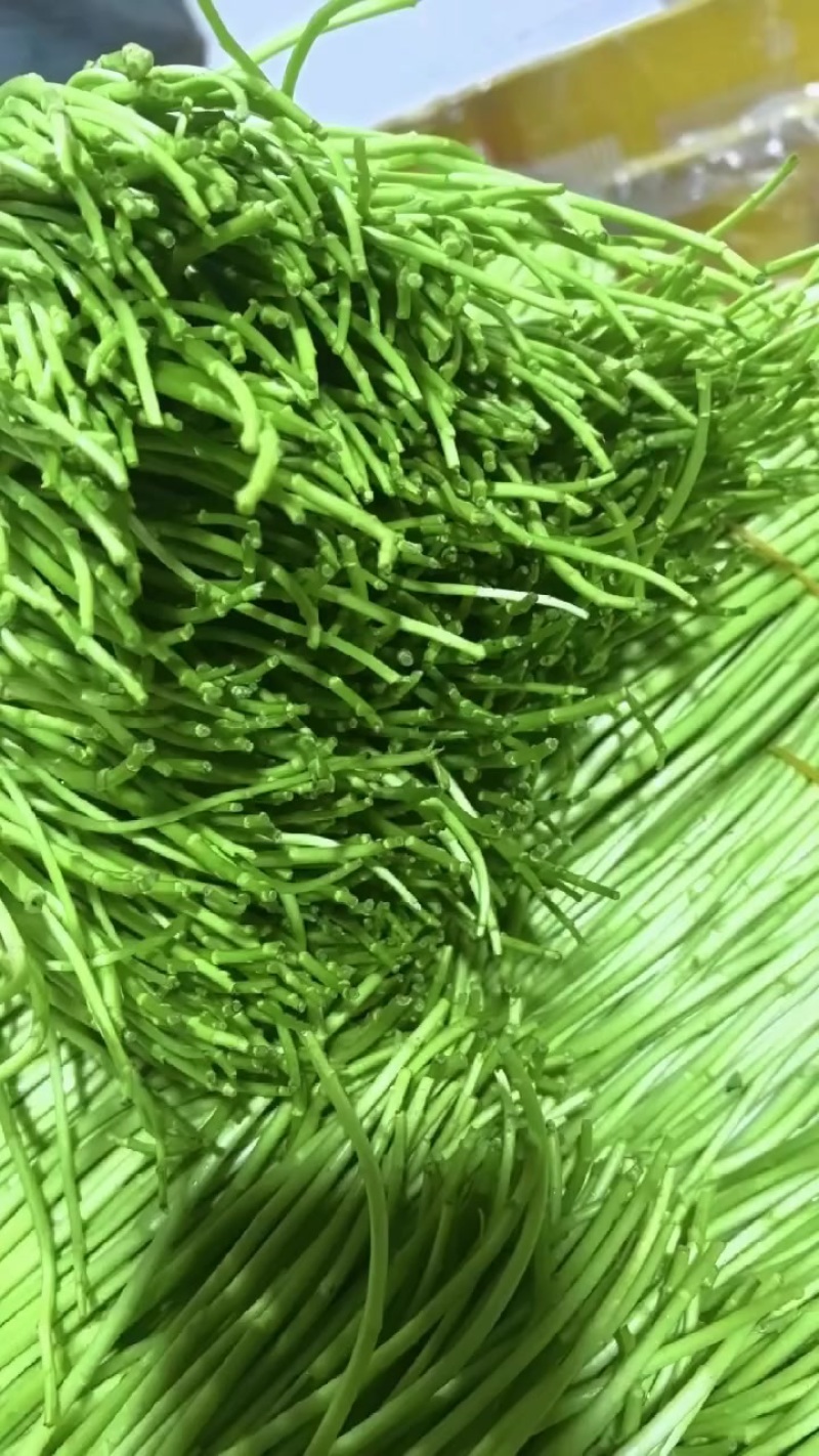高品质比十八岁的小姑娘还嫩***********