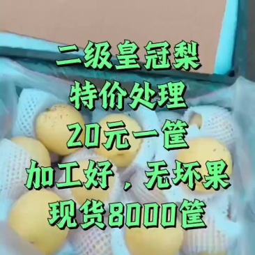 皇冠梨