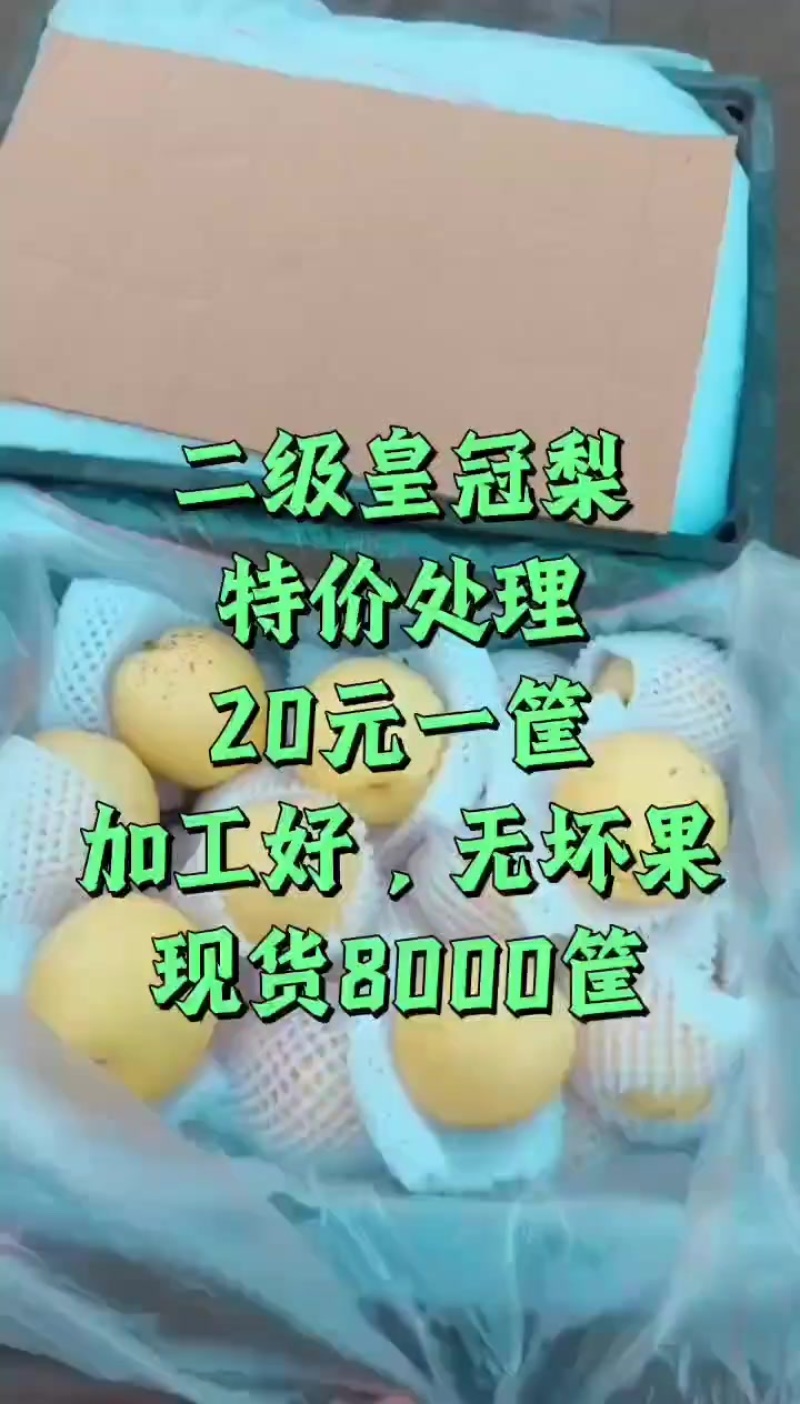 皇冠梨
