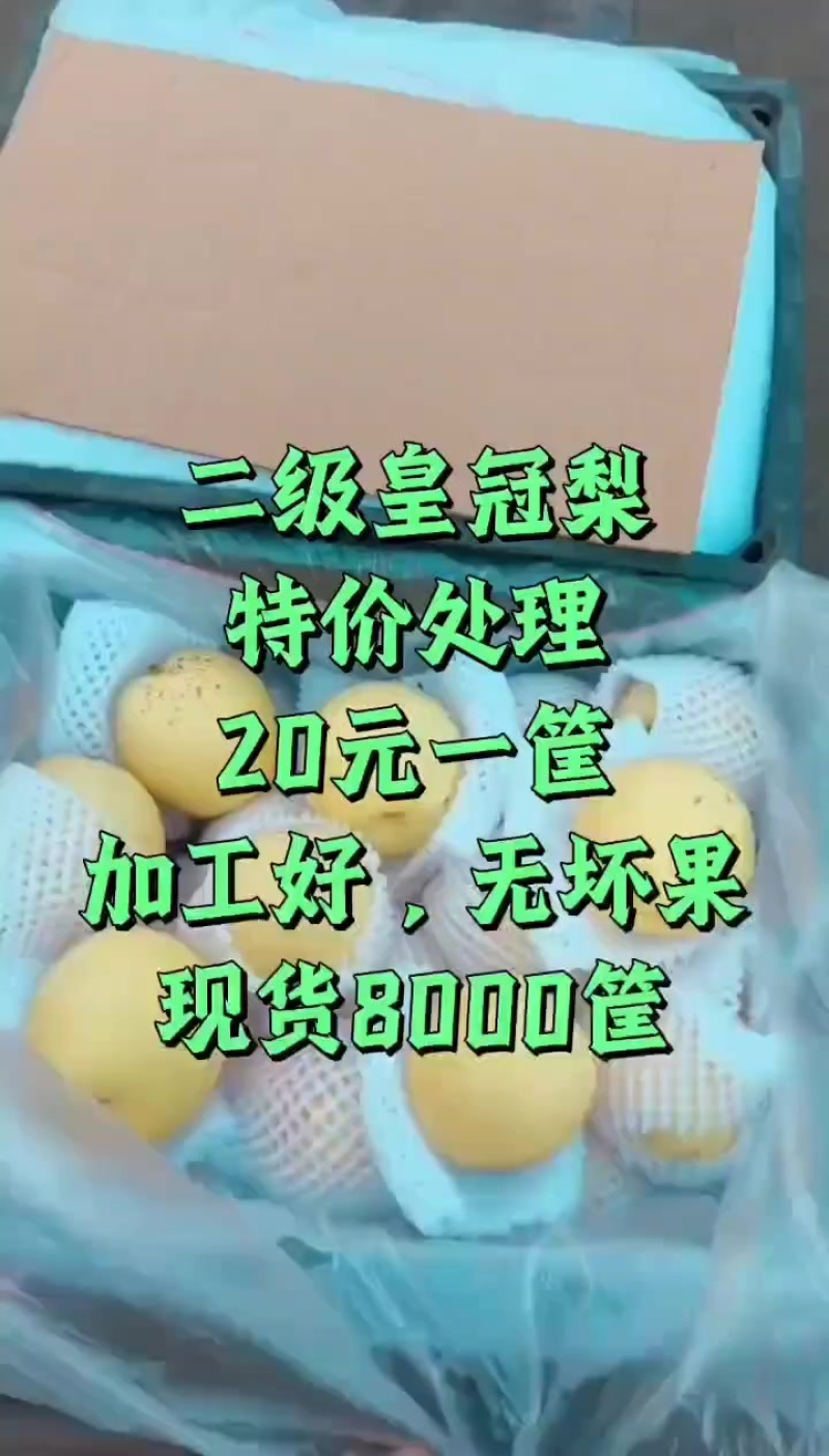 皇冠梨