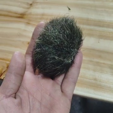 猪沙