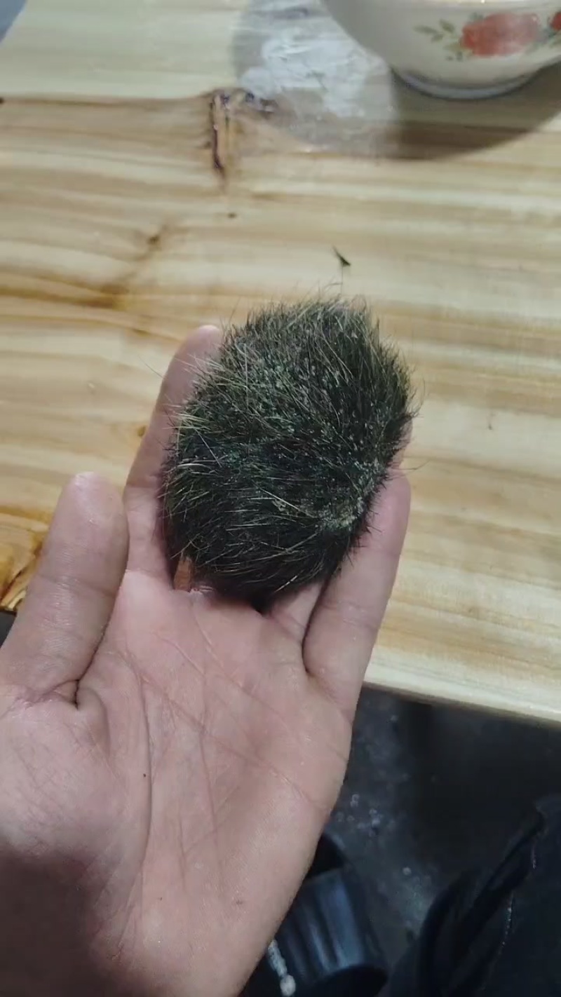 猪沙