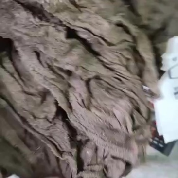 盐百叶盐毛肚盐干百叶盐干毛肚