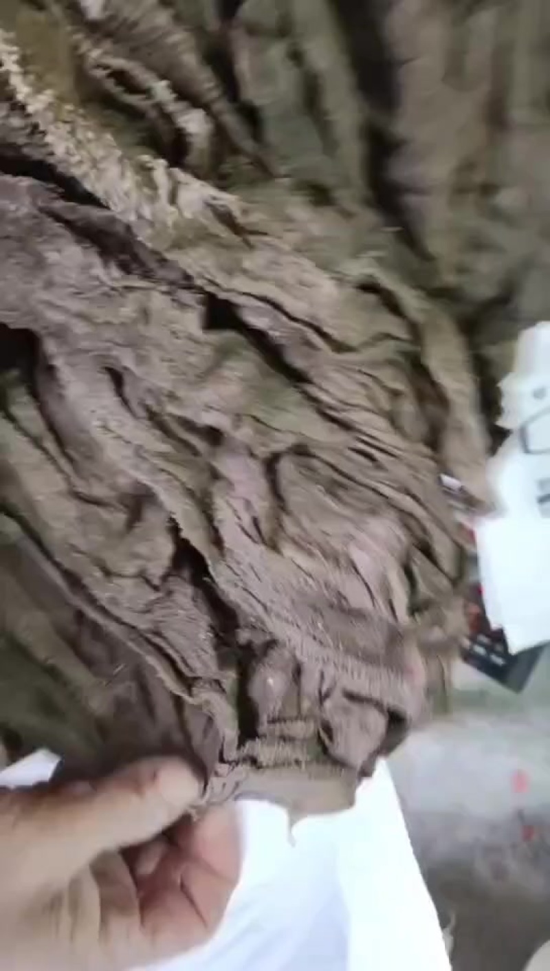 盐百叶盐毛肚盐干百叶盐干毛肚