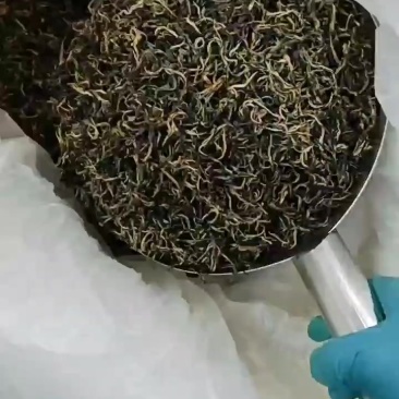 英德红茶英红九号