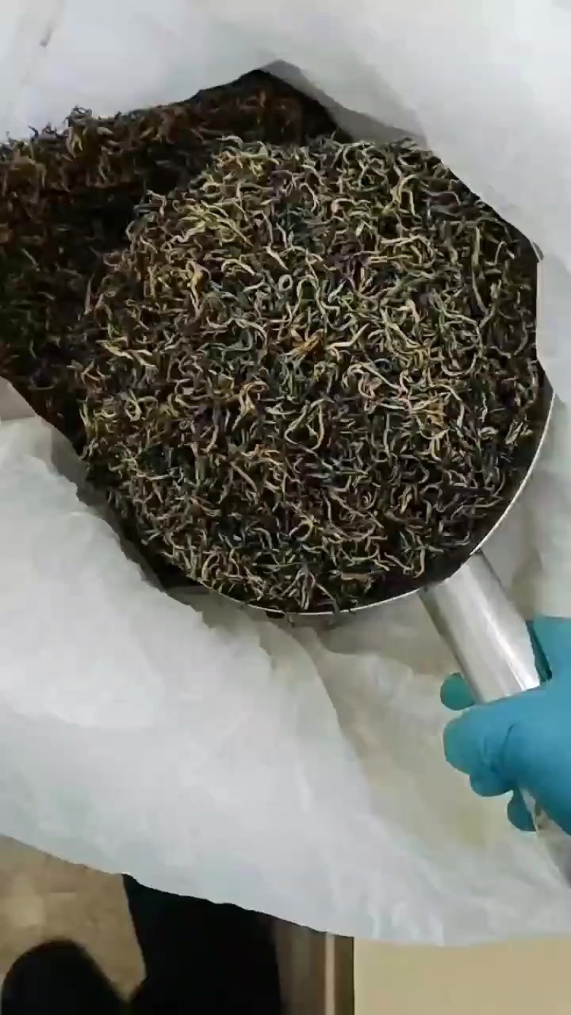 英德红茶英红九号