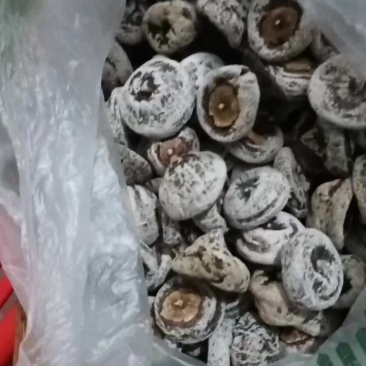 陕西柿饼