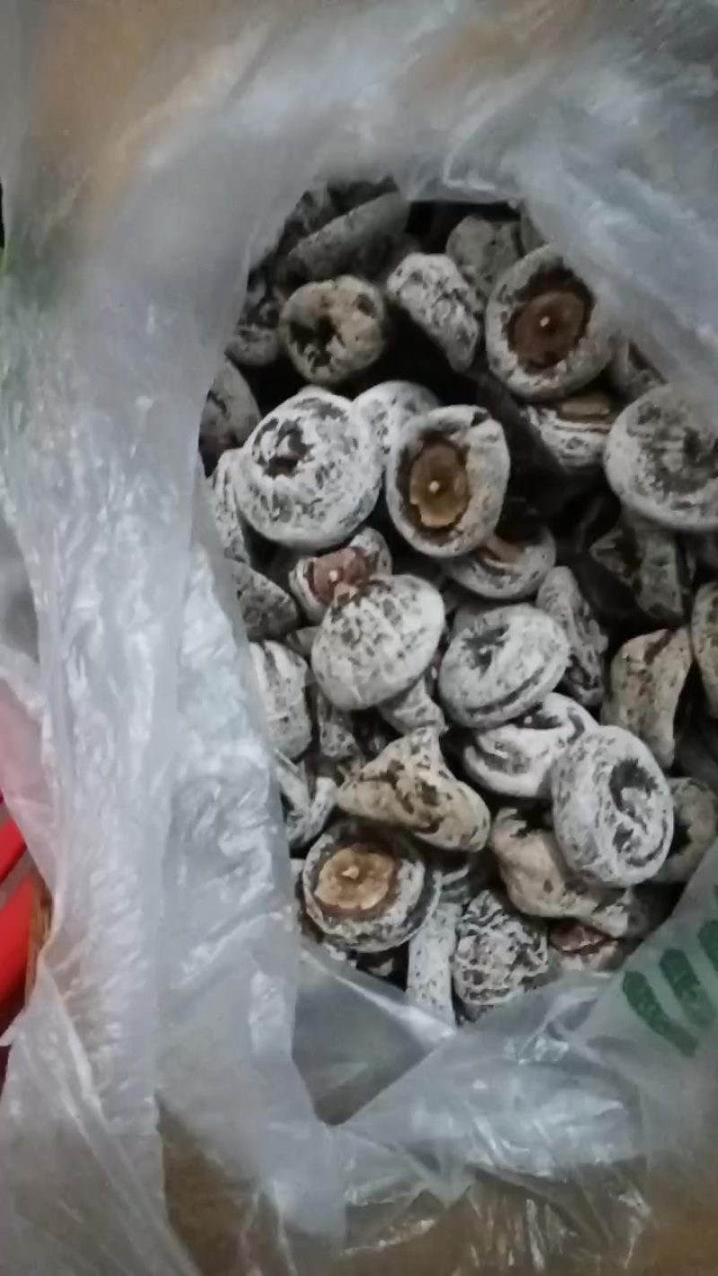 陕西柿饼