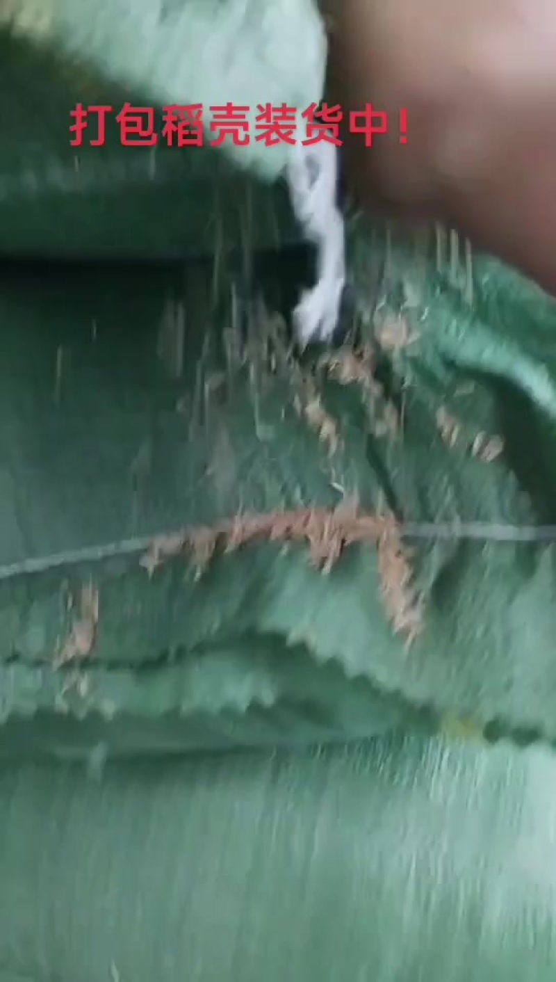 打包稻壳装货中！