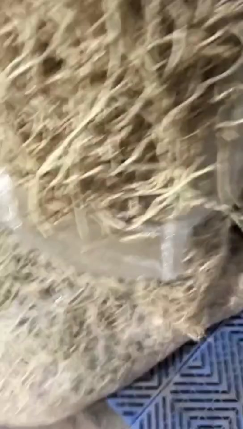 电商平台带泥，水洗折耳根鱼腥草
