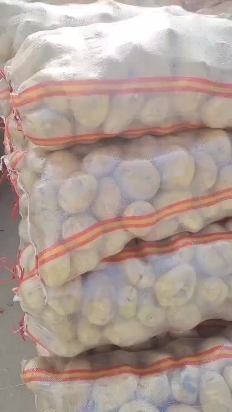 广东新土豆黄皮黄心砂土地，皮毛光滑，薯型正，按规格包装箱