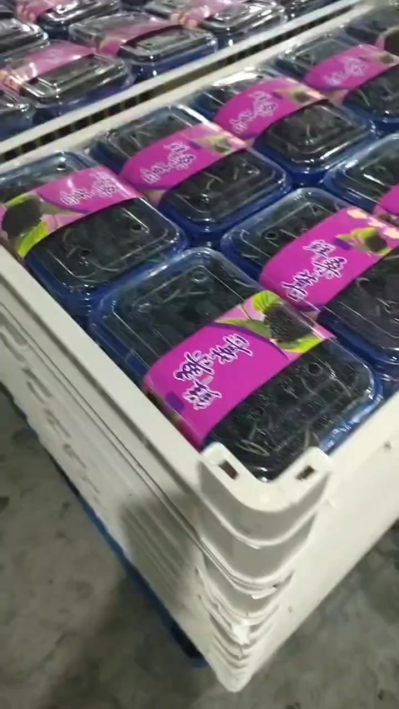 桑椹
