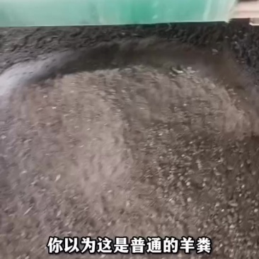发酵羊粪