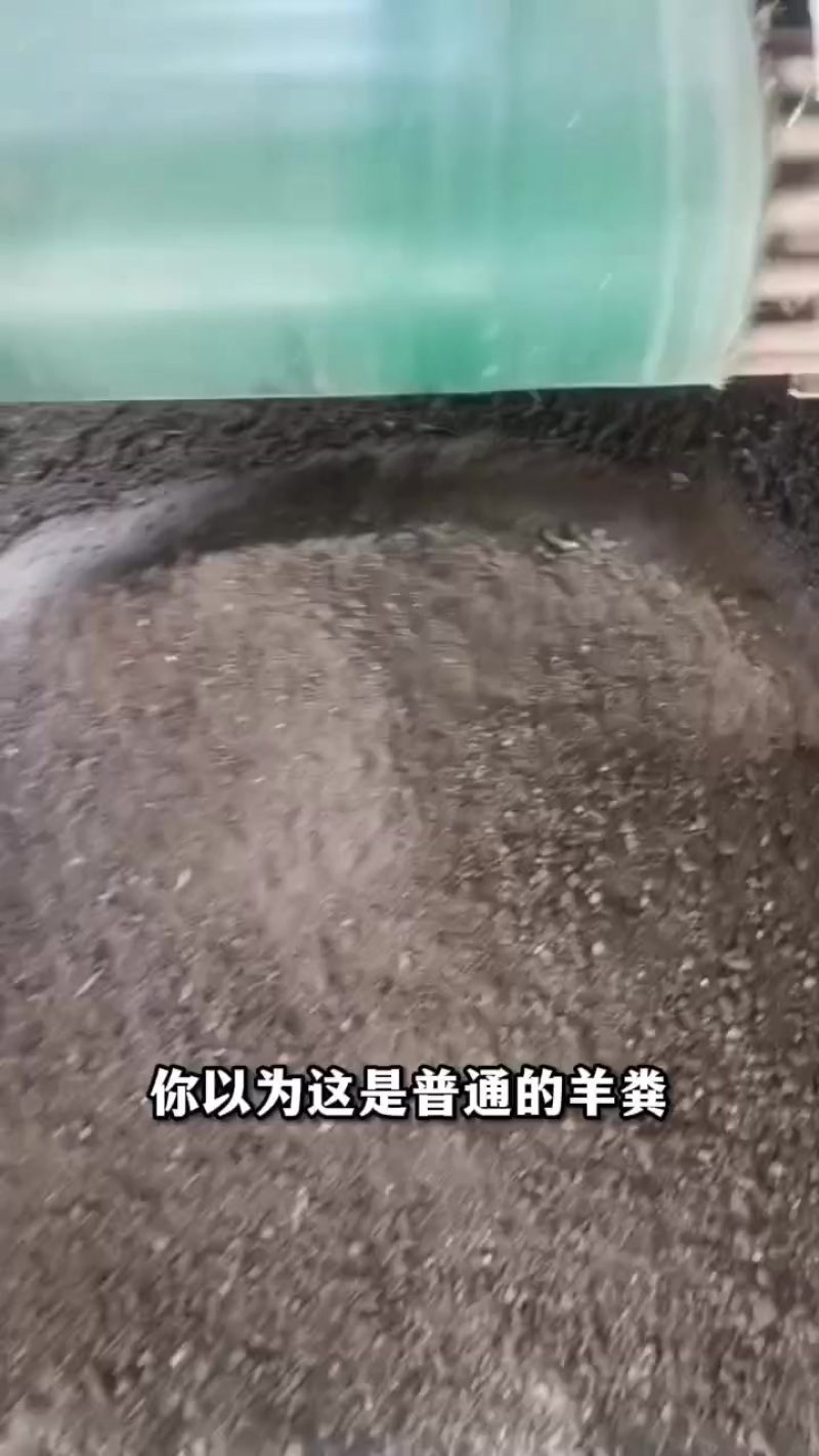 发酵羊粪