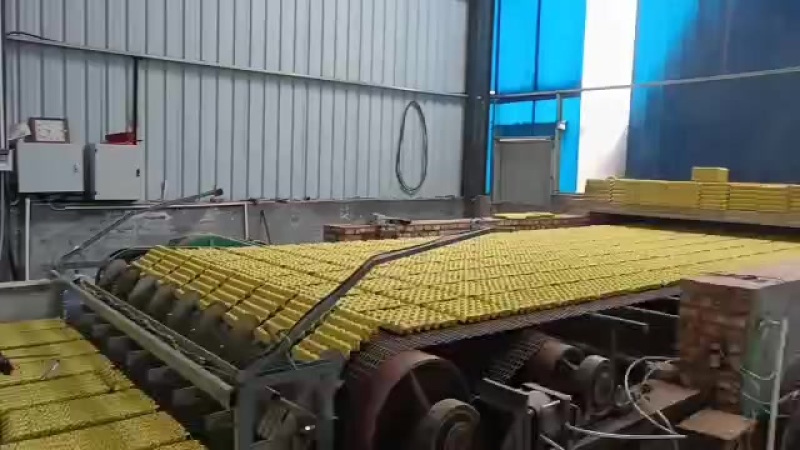 精品纸浆鸡蛋托