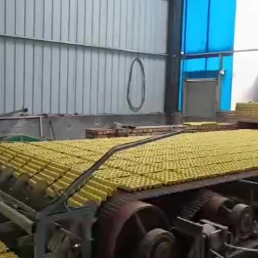 精品纸浆鸡蛋托