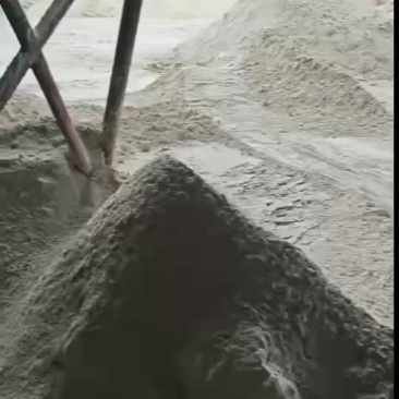 玉米油渣粉