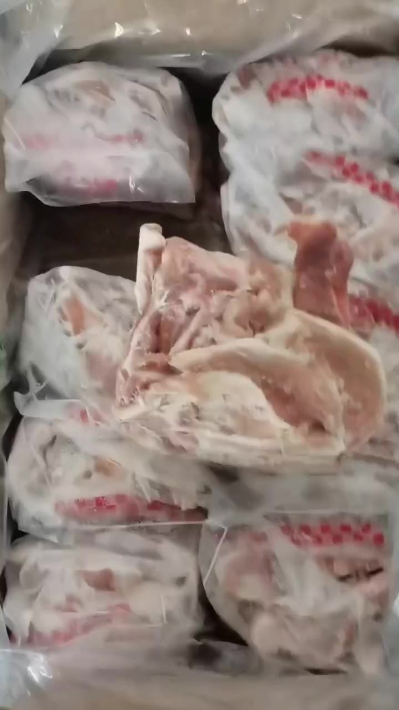 月牙骨实拍
