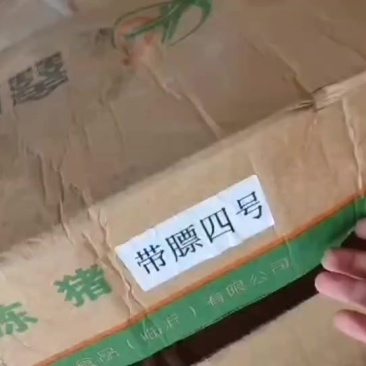 国产带膘4号，很划算的一个肉品腾惠更多客户的选择