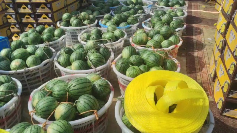 特小凤黄西瓜