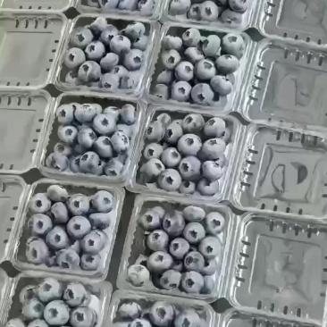 平台电商供货125克小包装，一斤泡沫箱