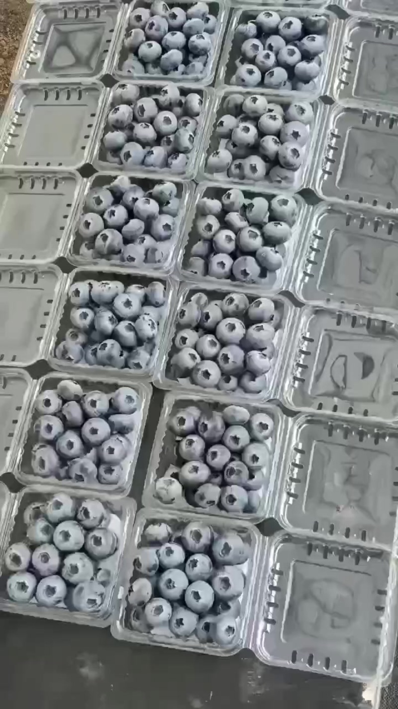 平台电商供货125克小包装，一斤泡沫箱
