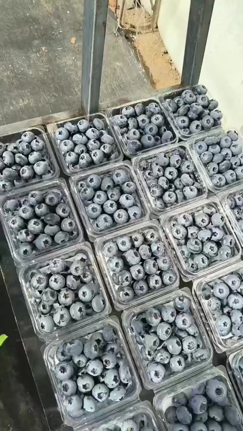 平台电商供货125克小包装，一斤泡沫箱