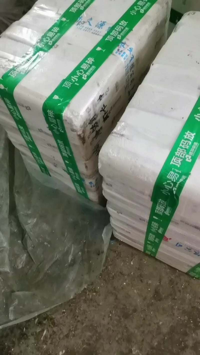 山东潍坊养虾厂里批发无冰衣手扒速冻鲜虾仁