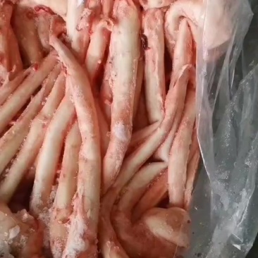 猪心管现货实拍山东腾惠将成为更多客户的选择
