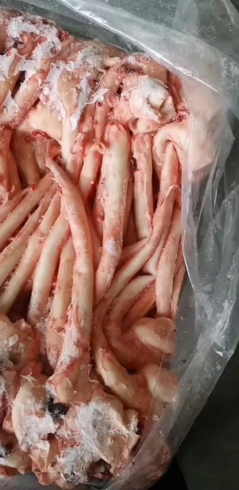 猪心管现货实拍山东腾惠将成为更多客户的选择