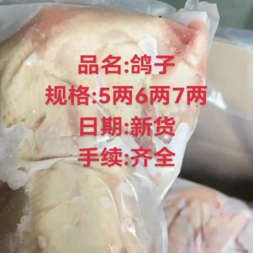 鸽子肉