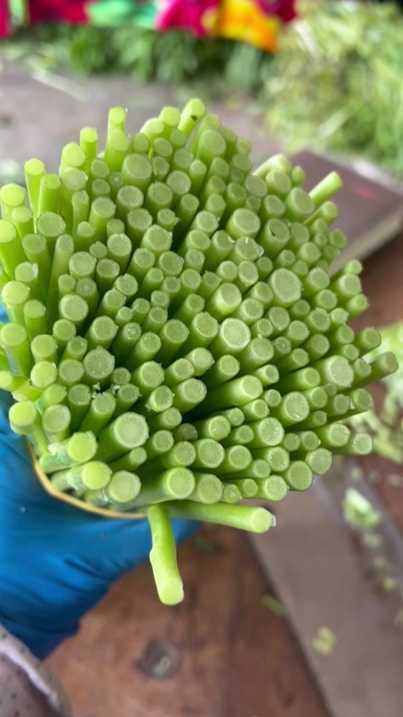 藜蒿