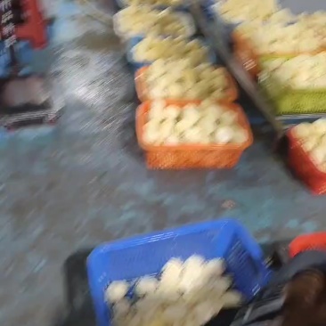 京佳果业