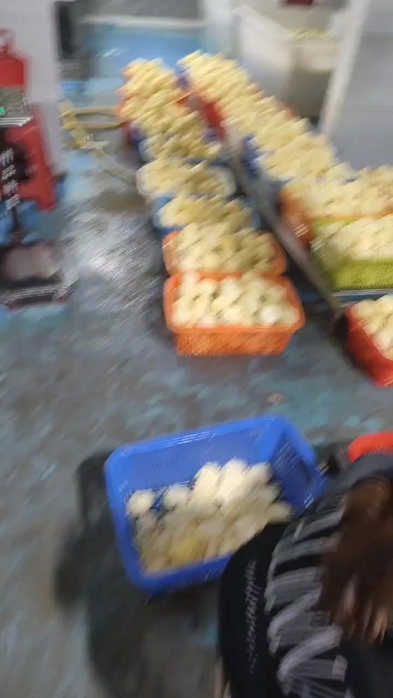 京佳果业