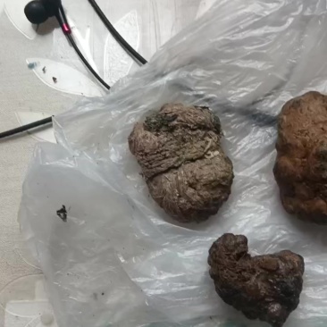 羊黄