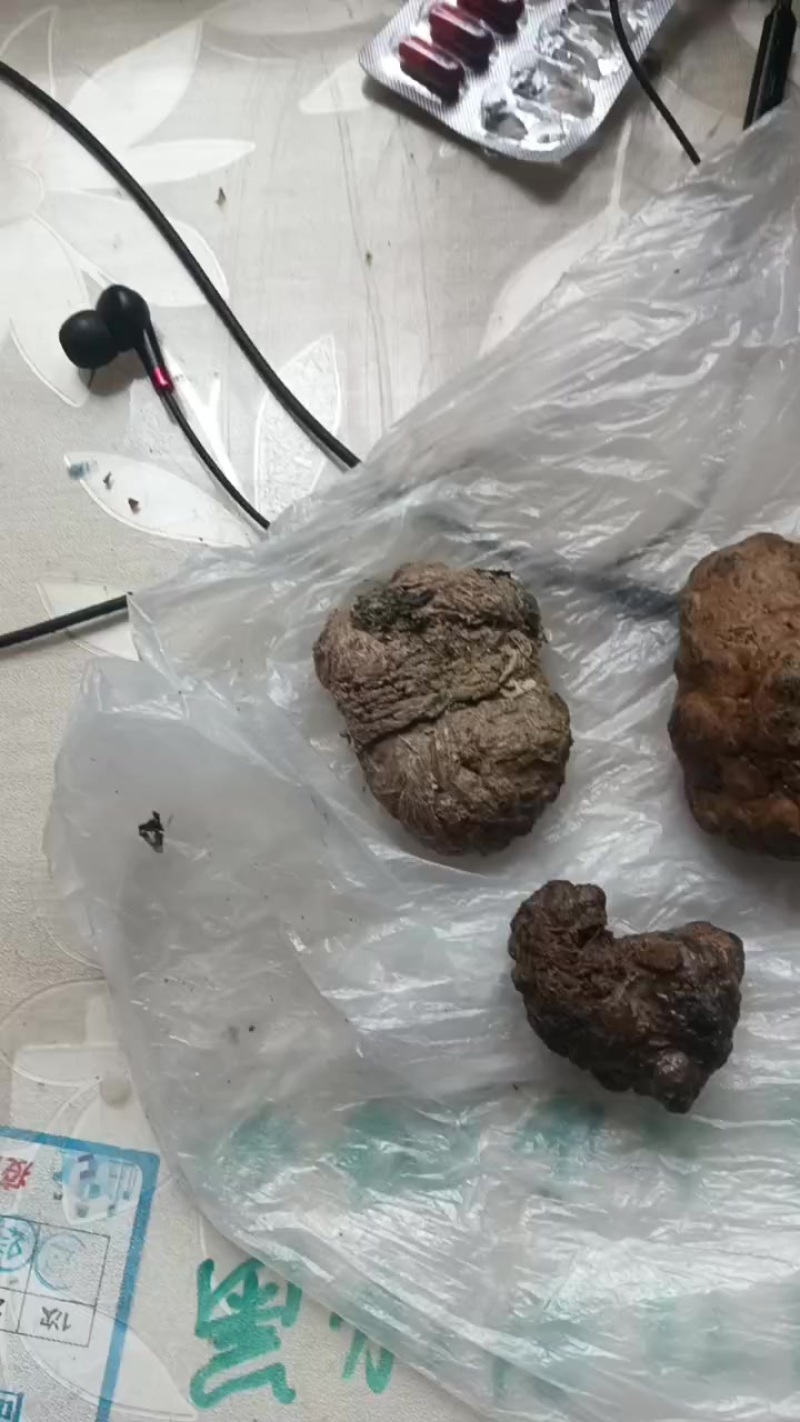 羊黄
