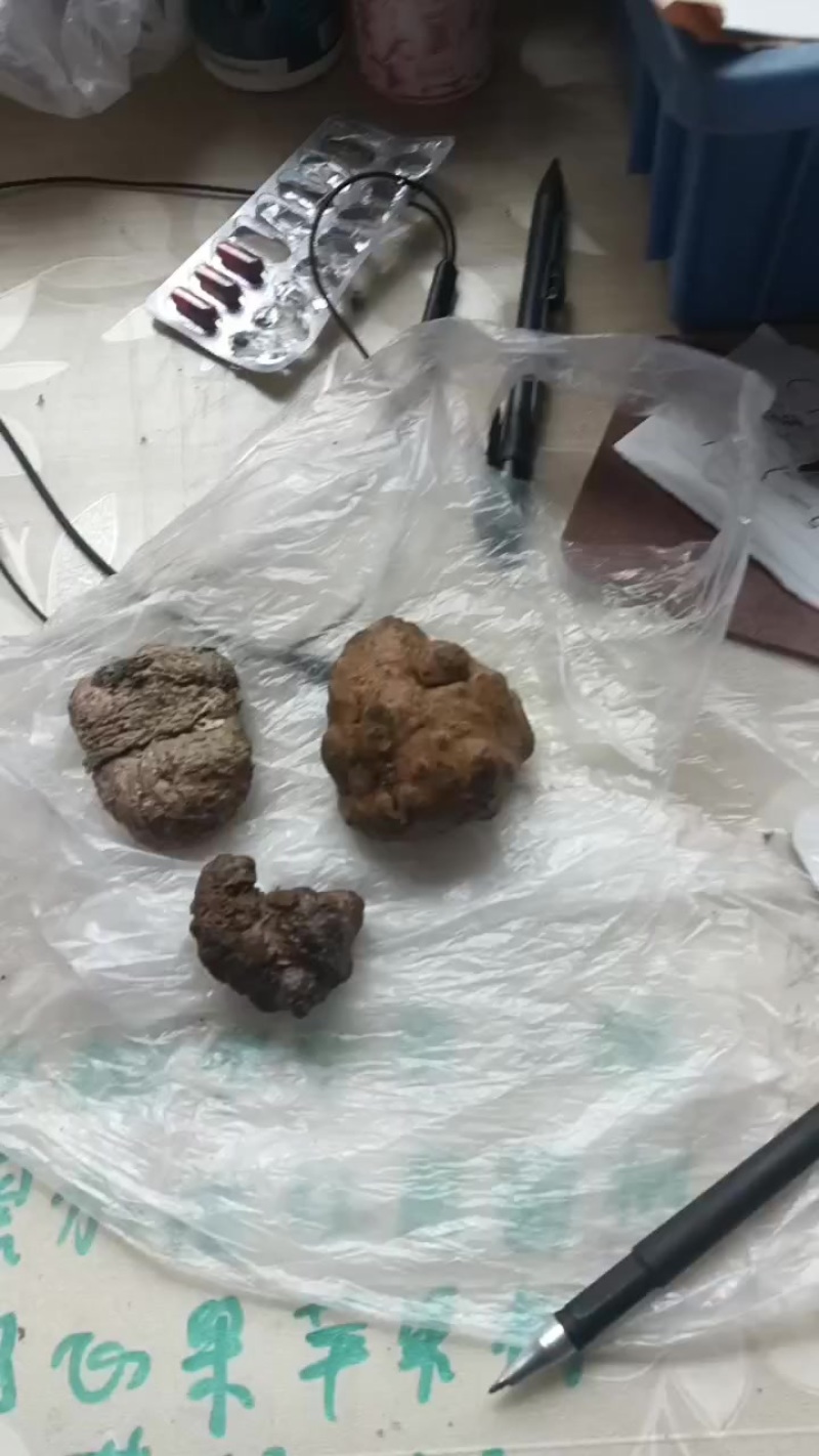 羊黄