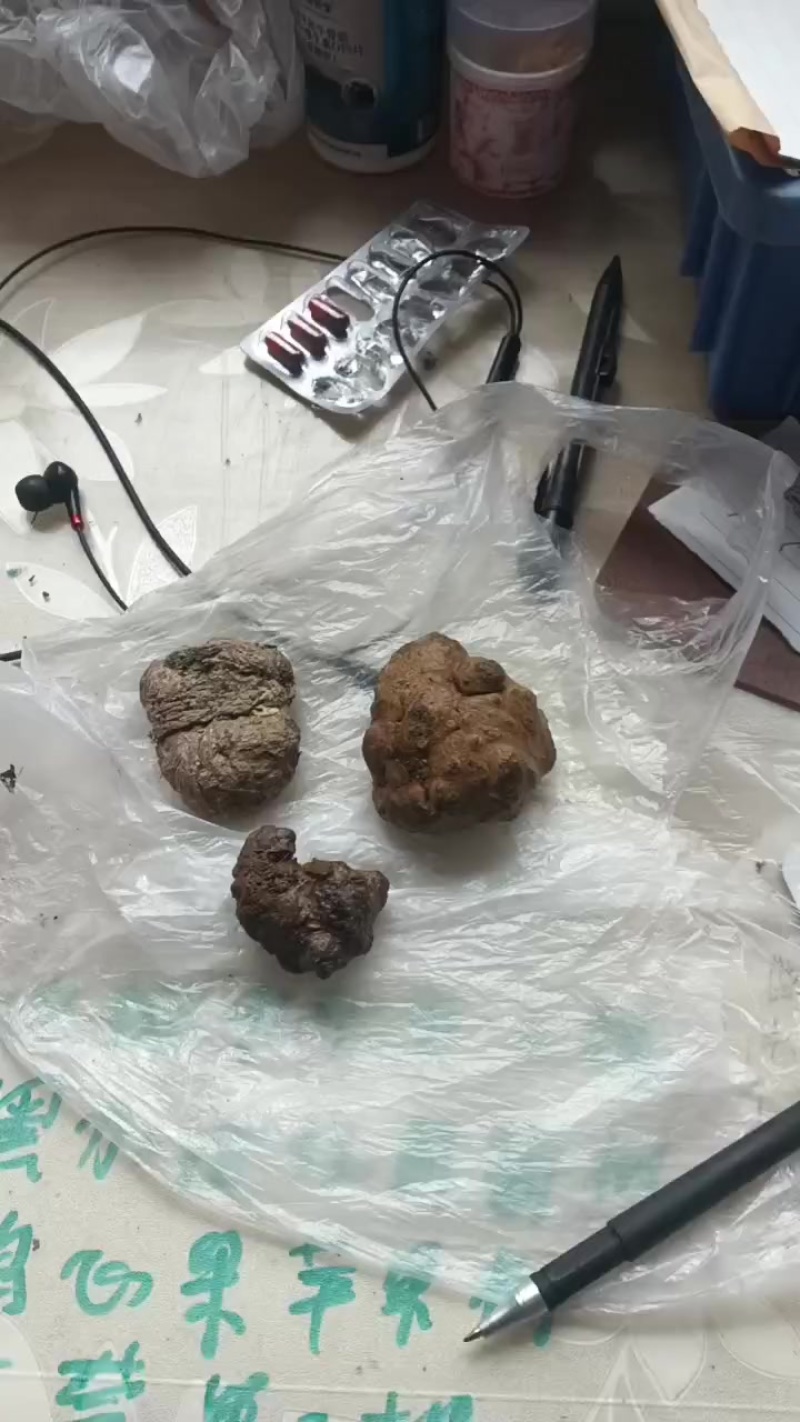 羊黄