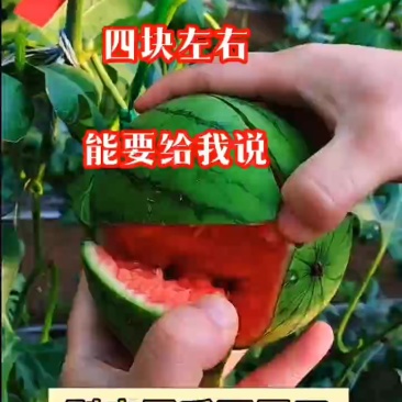 2K西瓜