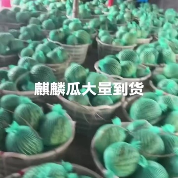 麒麟瓜