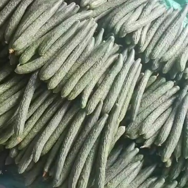 青瓜