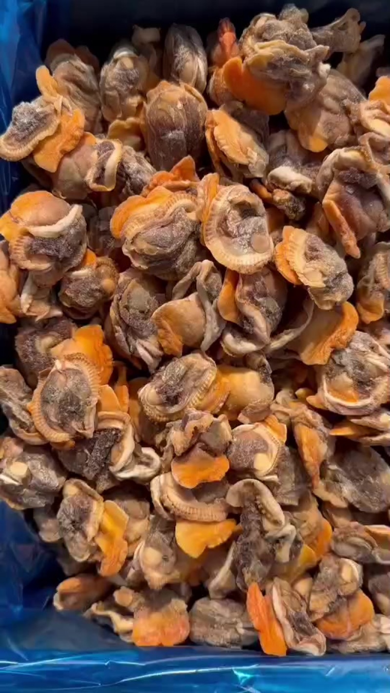 赤贝肉