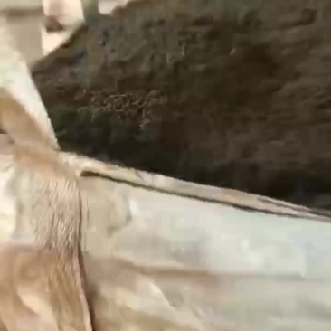 餐厨粉
