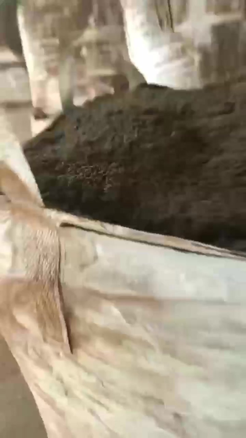 餐厨粉