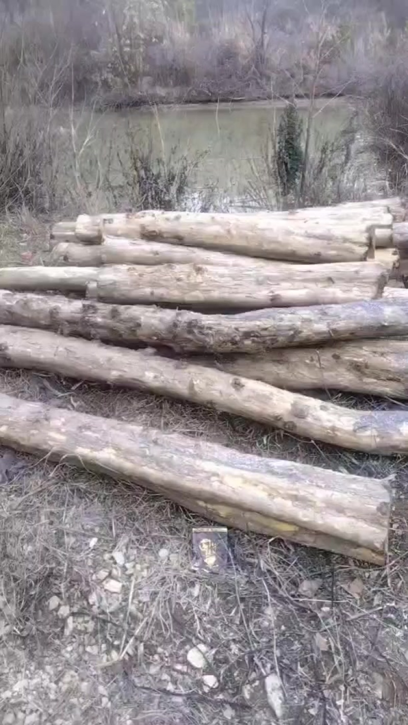 穿破石木材