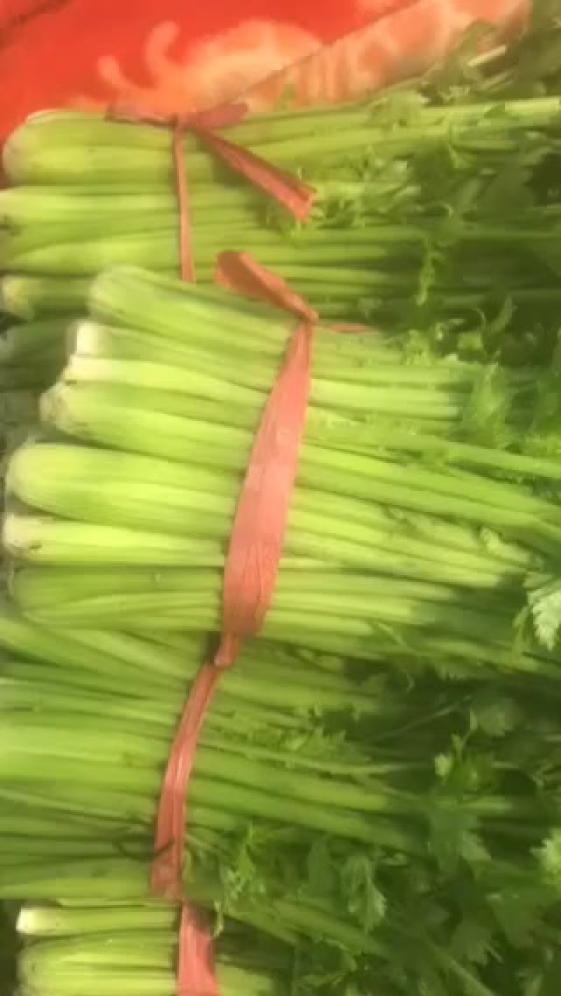 芹菜